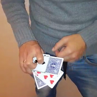 Crocodile Closing by Zack Lach video DOWNLOAD