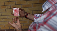 CGI by James Keatley - Trick
