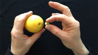 CITRUS: The Next Generation (C2 - Small) by Nourdine - Trick
