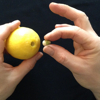 CITRUS: The Next Generation (C2 - Small) by Nourdine - Trick