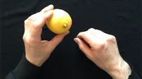 CITRUS: The Next Generation (C2 - Small) by Nourdine - Trick
