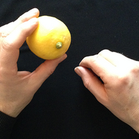 CITRUS: The Next Generation (C2 - Small) by Nourdine - Trick