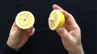 CITRUS: The Next Generation (C2 - Small) by Nourdine - Trick
