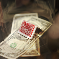 Profiteer (Gimmick and Online Instructions) by Adrian Vega - Trick