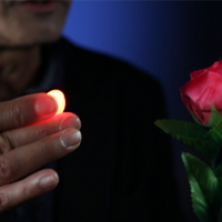 Rocco's Prisma Lites SOUND Pair (Bug/Red) - Trick