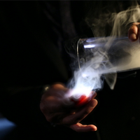 Rocco's Prisma Lites SOUND Single (Bug/White) - Trick