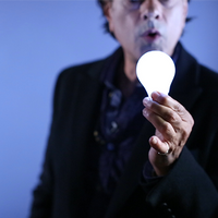 Rocco's Prisma Lites SOUND Single (Bug/White) - Trick