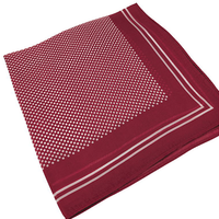 Syouma Silk (Red) by Tejinaya Magic - Trick