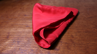 Malini Egg Bag Pro Red (Bag and Online Instructions) - Trick
