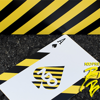 Broken Borders 2018 Playing Cards by The New Deck Order