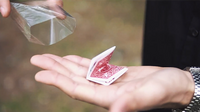 Uncatchable by Olivier Pont video DOWNLOAD
