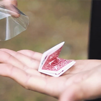 Uncatchable by Olivier Pont video DOWNLOAD