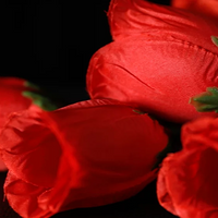 The Rose 2.0 (Red) by Bond Lee & Wenzi Magic - Trick