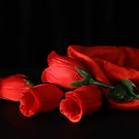 The Rose 2.0 (Red) by Bond Lee & Wenzi Magic - Trick