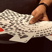 Chess Club Limited Edition Playing Cards by Magic Encarta