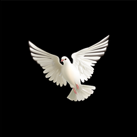 BLUFFF (Appearing Dove) by Juan Pablo Magic