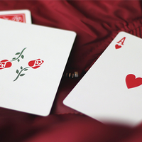 Red Roses Playing Cards by Daniel Schneider