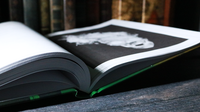 A State of Mind by Dennis Hermanzo - Book
