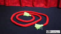 Lasso Rope (Fringe) by Mr. Magic - Trick
