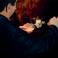 Blowing Smoke by Juan Pablo Ibañez video DOWNLOAD
