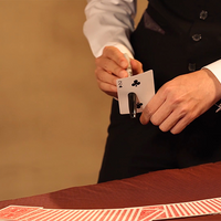 Sleeving System by Witness Kou & Amor Magic - Trick