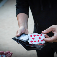 The Professional's Fire Wallet by Murphy's Magic