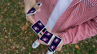 Bug Playing Cards by Bocopo
