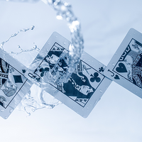 Polyantha Playing Cards