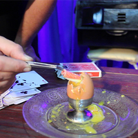 THE CARD INTO THE EGG (Gimmicks and Online Instructions) by Alan Alfredo Marchese and Aprendemagia