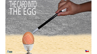 THE CARD INTO THE EGG (Gimmicks and Online Instructions) by Alan Alfredo Marchese and Aprendemagia
