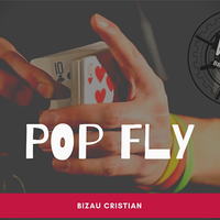 The Vault - Pop Fly by Bizau Cristian video DOWNLOAD