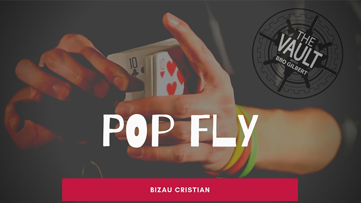 The Vault - Pop Fly by Bizau Cristian video DOWNLOAD