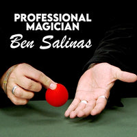 30 Tricks and Tips With Sponge Balls DVD

