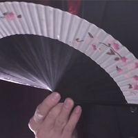 FANtast by Po-Cheng Lai - DVD