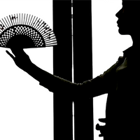 FANtast by Po-Cheng Lai - DVD