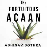 The Fortuitous ACAAN by Abhinav Bothra Mixed Media DOWNLOAD