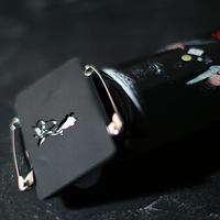 SLIDER V2 by Victor Voitko (Gimmick and Online Instructions) - Trick