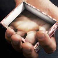 Visualies Gaff System (Gimmicks and Online Instructions) by Mechanic Industries - Trick