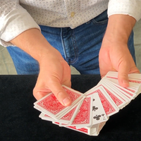 All Alone (Gimmick and Online Instructions) by David Regal - Trick