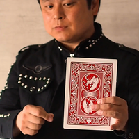 Jumbo Princess Card Trick by Tejinaya Magic - Trick