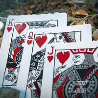 Koi V2 Playing Cards by Byron Leung