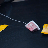 Instant T Blue / 2019 (Gimmicks and Online Instructions) by The French Twins & Magic Dream- Trick