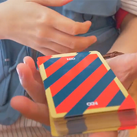 Broken Borders 2019 Playing Cards by The New Deck Order