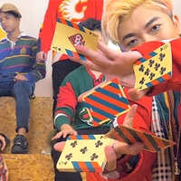 Broken Borders 2019 Playing Cards by The New Deck Order