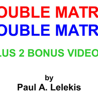 DOUBLE MATRIX by Paul A. Lelekis Mixed Media DOWNLOAD