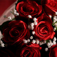 The Bouquet (Red) by Bond Lee & MS Magic- Trick