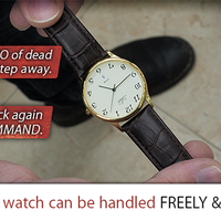 TEMPUS (Gimmick and Online Instructions) by Menny Lindenfeld - Trick