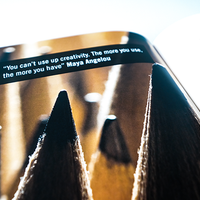 False Anchors Set (Book and Gimmick) by Ryan Schlutz - Book