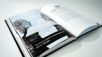 False Anchors Set (Book and Gimmick) by Ryan Schlutz - Book
