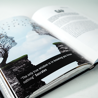 False Anchors Set (Book and Gimmick) by Ryan Schlutz - Book